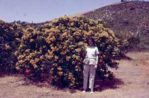 Rinconada de Maipú - Thelma Workman